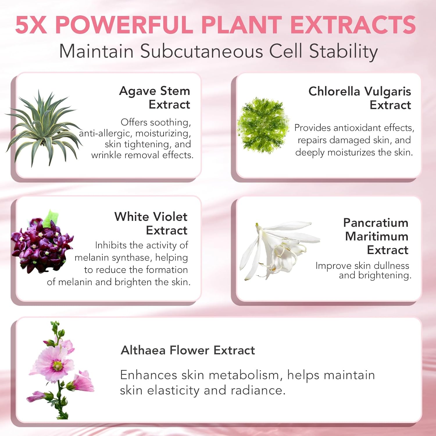 Collagen Night Wrapping Mask-Peel-Off Mask 75ml